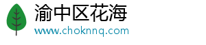 渝中区花海