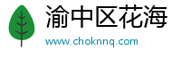 渝中区花海